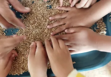 Texturas - Escuela Libre Jamundí